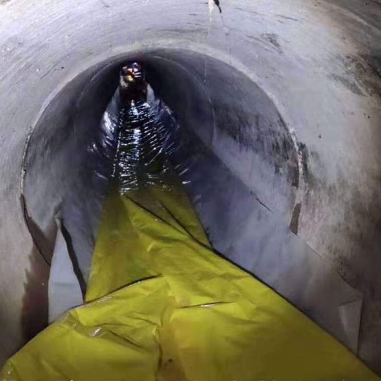 上栗管道光固化修复